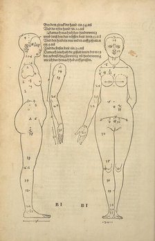 Illustration from the Four Books on Human Proportion, 1528. Creator: Dürer, Albrecht (1471-1528).
