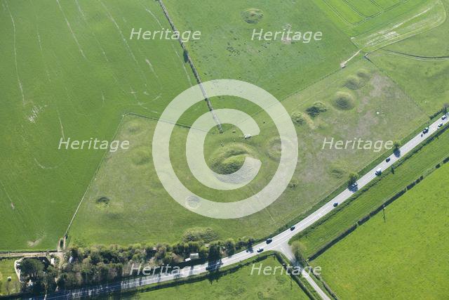 Large Bronze Age round barrow cemetery earthwork, Winterbourne Poor Lot, Dorset, 2015. Creator: Historic England Staff Photographer.