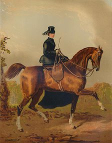 'A Ladies Horse - The Property of the Late Earl of Pembroke', c1840s, (c1879). Creator: Henri d'Ainecy Montpezat.