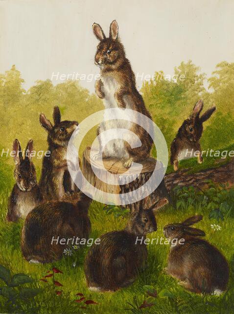 Rabbits, 1859. Creator: William Jacob Hays.