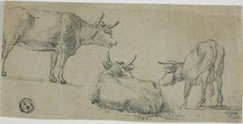 Three Sketches of Cows, n.d. Creator: Unknown.