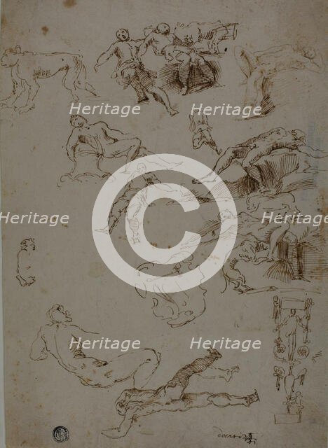 Sketches of Male Nudes, Animals, and Ornamental Details, n.d. Creator: Unknown.