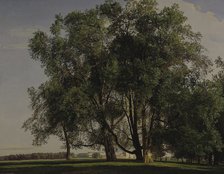 Prater Landscape, 1830. Artist: Waldmüller, Ferdinand Georg (1793-1865)