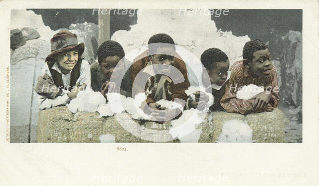 Coons in A Cotton Shed, 1902 - 1903. Creator: Detroit Publishing Company.