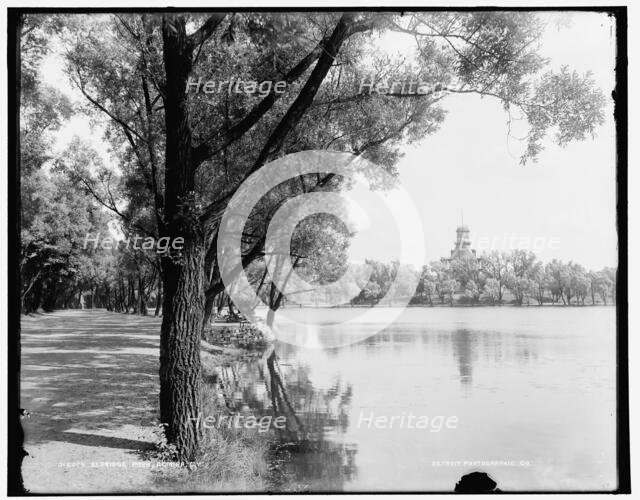 Eldridge Park, Elmira, N.Y., between 1890 and 1901. Creator: Unknown.