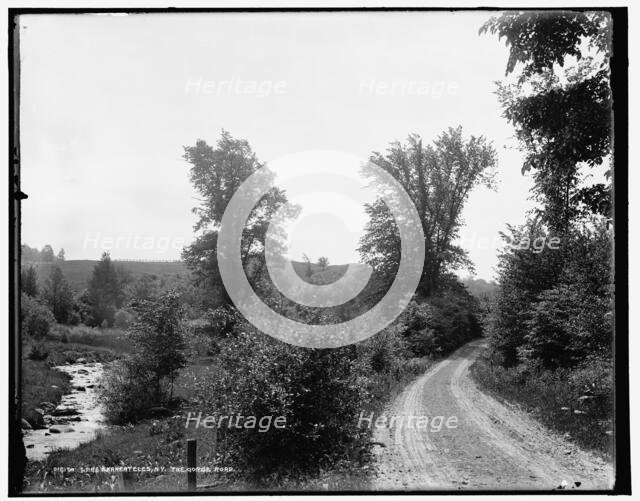 Lake Skaneateles, N.Y., the gorge road, between 1890 and 1901. Creator: Unknown.