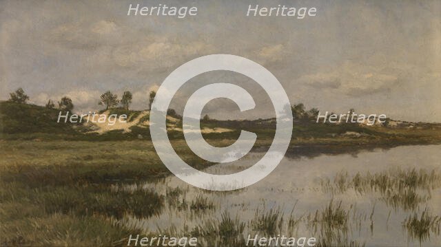 Marsh in the Heath, late 19th-early 20th century. Creator: Alfred Elsen.