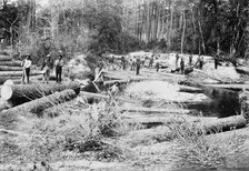 Rafting pine logs, Keystone Lumber Company, 1901 Dec 29. Creator: Unknown.