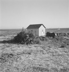 The preacher's house, Dead Ox Flat, Malheur County, Oregon, 1939. Creator: Dorothea Lange.