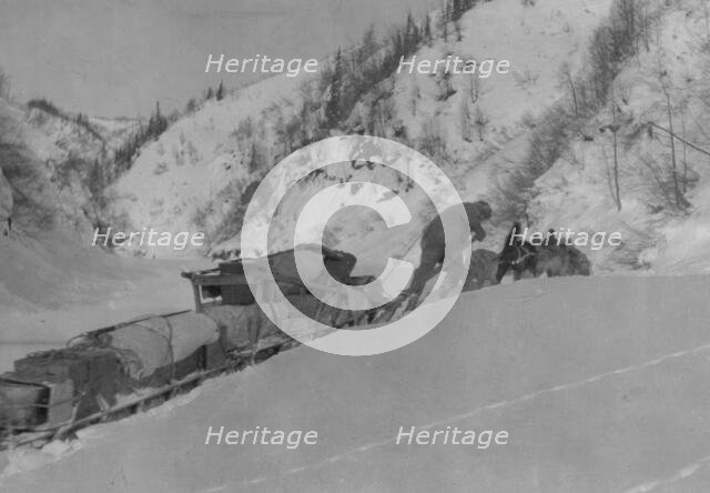 Prospector with dog team, between c1900 and 1923. Creator: Unknown.