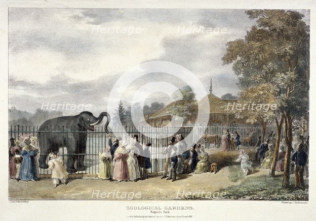 Zoological Gardens, Regent's Park, London, 1835.  Artist: George Scharf
