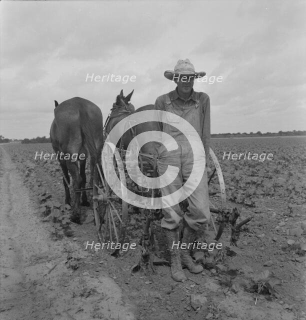 Ex-tenant farmer, now a day laborer on large cotton farm near Corsicana, Texas, 1937. Creator: Dorothea Lange.