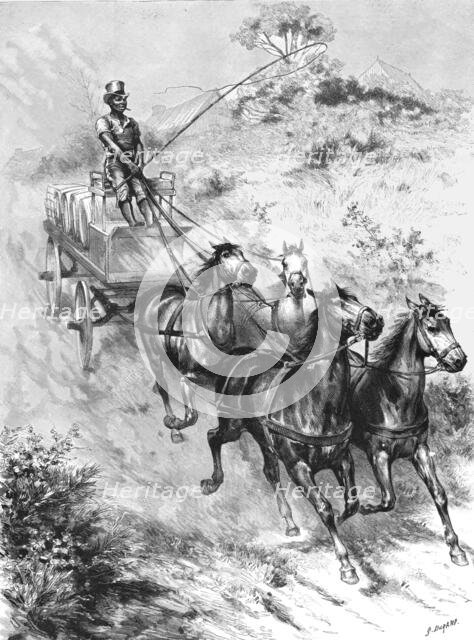 ''Monarch of all he surveys" - A Donkey Driver at Durban', 1890. Creator: G Durand.