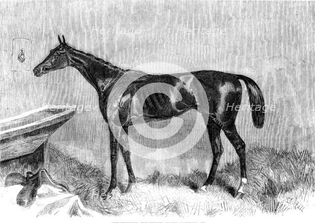 Goodwood Races: Tim Whiffler, the winner of the Goodwood Cup, 1862.  Creator: H. Hall.