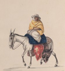 A butcher riding a donkey, from a group of drawings depicting Peruvian costume, ca. 1848. Creator: Attributed to Francisco (Pancho) Fierro.