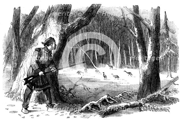 Sporting Scenes in Canada - Wild Turkey Shooting, 1858. Creator: Unknown.