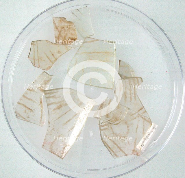 Glass Fragments, Coptic, 4th-early 5th century. Creator: Unknown.