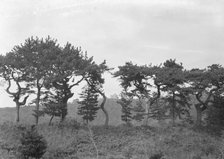 Travel views of Japan and Korea, 1908. Creator: Arnold Genthe.