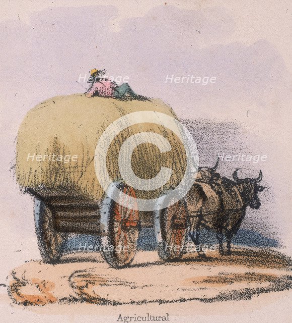 'Agricultural', c 1845. Artist: Robert Kent Thomas 