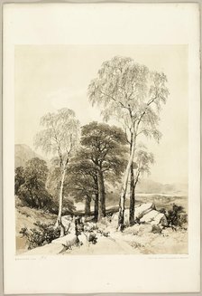 Birch and Oak, from The Park and the Forest, 1841. Creator: James Duffield Harding.