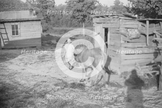 Squeakie Burroughs and friend, Hale County, Alabama, 1936. Creator: Walker Evans.