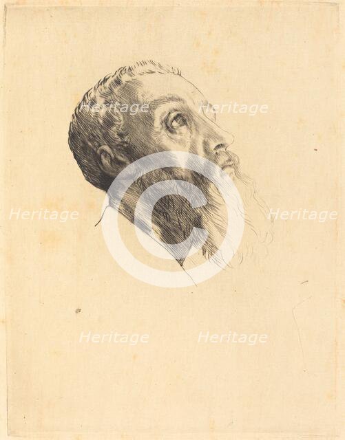 Head of a Model (Tete de modele). Creator: Alphonse Legros.