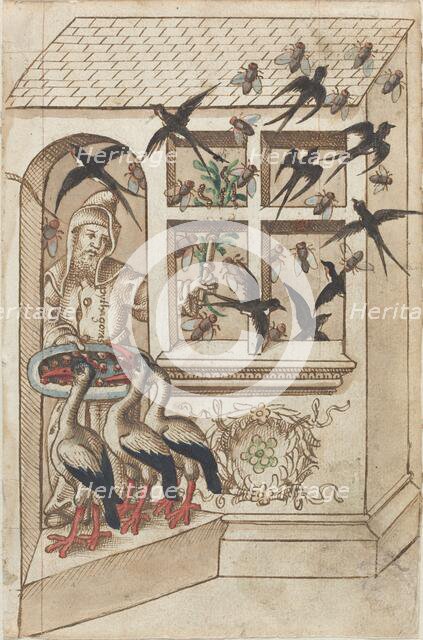 Do Not Have Swallows under the Same Roof [fol. 40 recto], c. 1512/1514. Creator: Unknown.