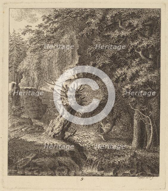Wooded Landscape with a Pollarded Tree, 1764. Creator: Salomon Gessner.