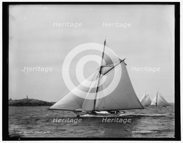 Saladin, 1890 Aug 18. Creator: Unknown.