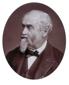 William Harrison Ainsworth, author, 1881 Creator: Lock & Whitfield.