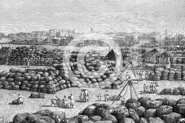 The cotton market at Bombay, India, 1895. Artist: Unknown