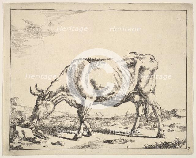 Cow, after Paulus Potter. Creator: Marcus de Bye.