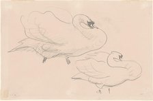 Studies of a Swan, 1880-1900. Creator: John Singer Sargent.