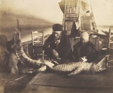 Autopsy of the First Crocodile Onboard, Upper Egypt, 1852. Creator: Ernest Benecke.