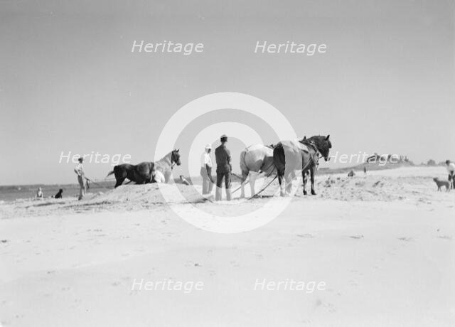 Beach scene with horses, East Hampton, Long Island, between 1933 and 1942. Creator: Arnold Genthe.