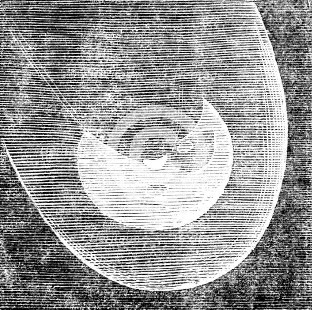 Telescopic Appearances of Donati's Comet, as seen from the Cambridge Observatory, Oct 5, 6.30pm,1858 Creator: Unknown.