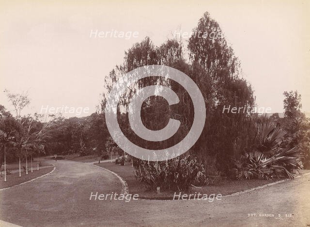 Botanical Garden, 1860s-70s. Creator: Unknown.