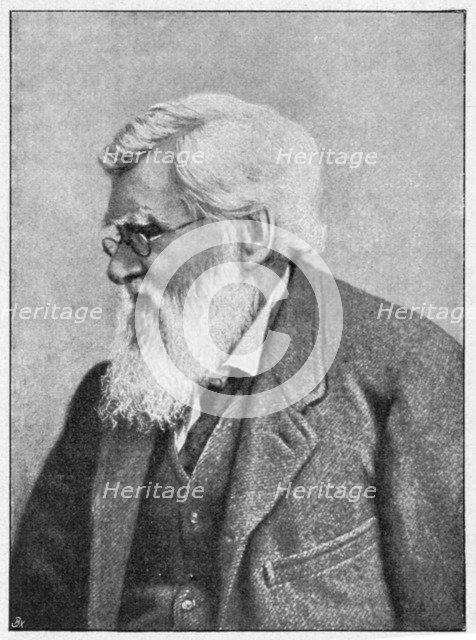 Alfred Russell Wallace, Welsh naturalist, c1895. Artist: Unknown