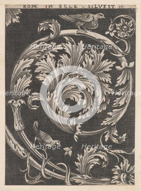 Speculum Romanae Magnificentiae: Ornamental foliage from churches, 16th century., 16th century. Creator: School of Raphael.