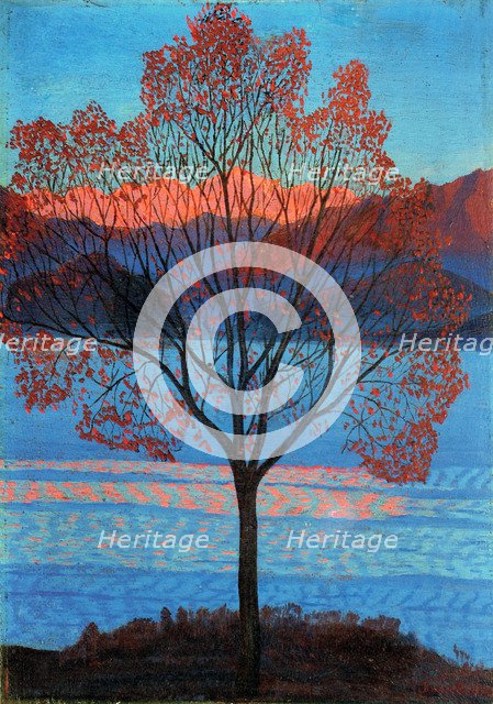 Landscape at the First Rays of Sun.