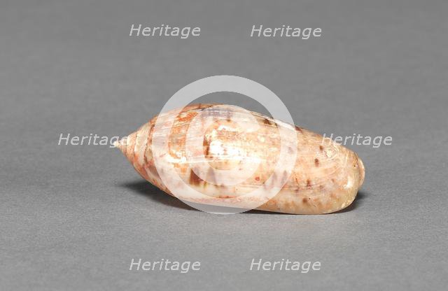 Offering Group: Small Shell, c. 800-1200(?). Creator: Unknown.