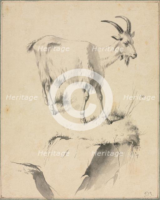 Study of a Goat, 1700s. Creator: Jean Jacques de Boissieu (French, 1736-1810).