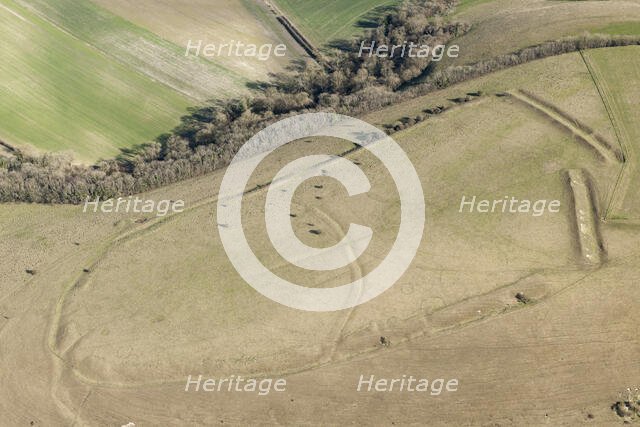 Iron Age univallate hillfort earthwork on Winklebury Hill, Wiltshire, 2016. Creator: Damian Grady.