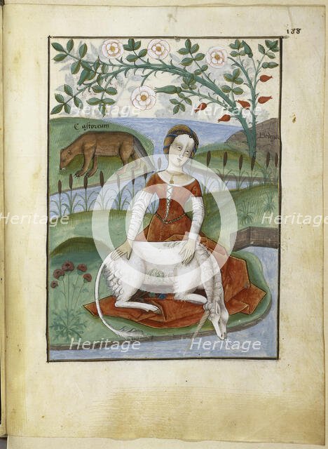 Unicorn. Livre des simples médecines, 16th century. Creator: Anonymous.