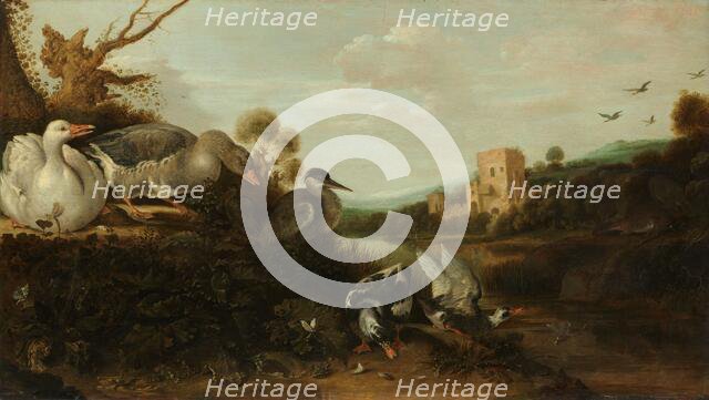 Waterfowl, 1652. Creator: Gysbert Gillisz. de Hondecoeter.