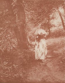 Woman on path in the woods, c1900. Creator: Mary A. Bartlett.