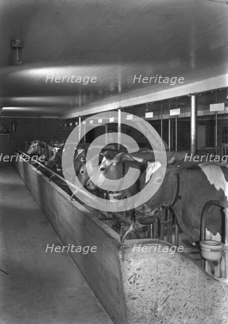 Guido R. Rahr, residence in Manitowoc, Wisconsin, 1945. Creator: Gottscho-Schleisner, Inc.