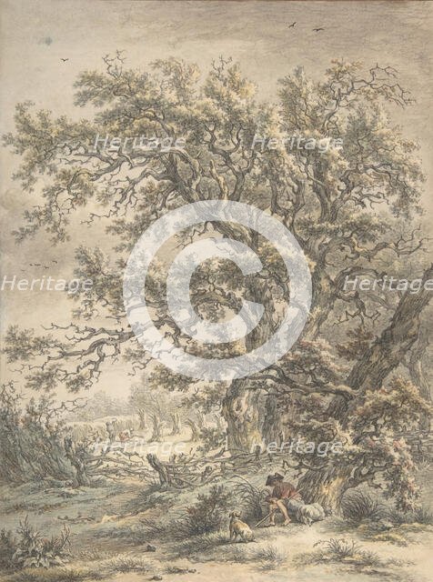 A Man Resting Under a Tree, n.d.. Creator: Egbert van Drielst.