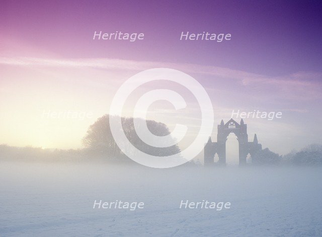 Gisborough Priory, Redcar and Cleveland, 2010. Creator: Mike Kipling.