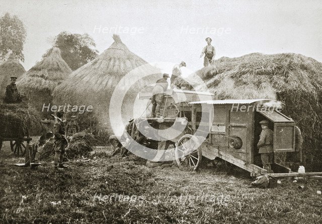 Threshing for straw for soldiers' use, France, World War I, 1916. Artist: Unknown